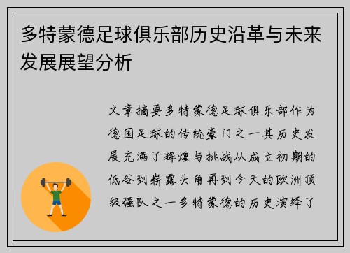 多特蒙德足球俱乐部历史沿革与未来发展展望分析