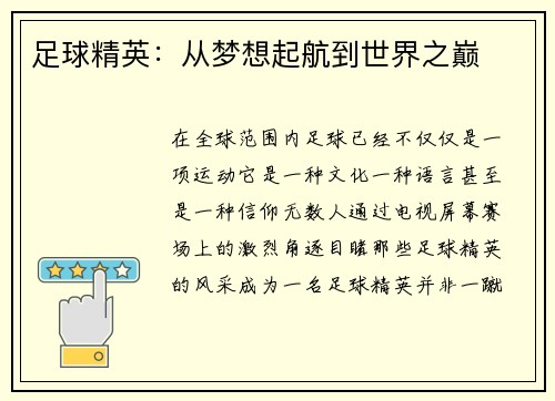 足球精英：从梦想起航到世界之巅
